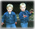 Olsens